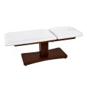 Weelko Deluxe Electric Spa Massage Bed - 2 Motors, PU Upholstery -Weelko -Aesthetic treatment tables