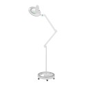 Lámpara lupa LED de 5 aumentos con brazo articulado Weelko -Weelko -Lámparas y Lupas