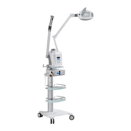 Weelko Digital Ozone Facial Steamer