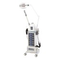 Weelko Multifunktionale Ästhetik-Turm 1005T+3020+T-01+300DT -Weelko -Weelko
