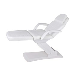 Weelko Electric 3-Motor Treatment Table for Beauty & Spa