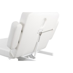GOID Electric Treatment Table with Wooden Base and Height Adjustment (1 Motor) – Weelko
