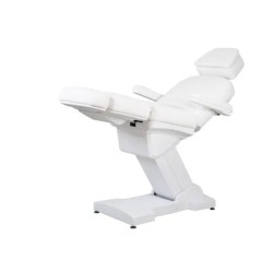 Weelko RICLE Electric Treatment Table with 4 Motors