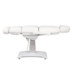 Weelko Bellum 4-Motor Electric Treatment Table