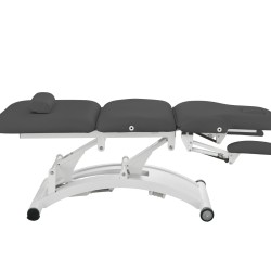 Weelko Sphen Black Electric Treatment Table with 3 Motors