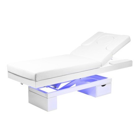 Spa Limb Warm Electric Treatment Table with Integrated Heating – DDUUEETT