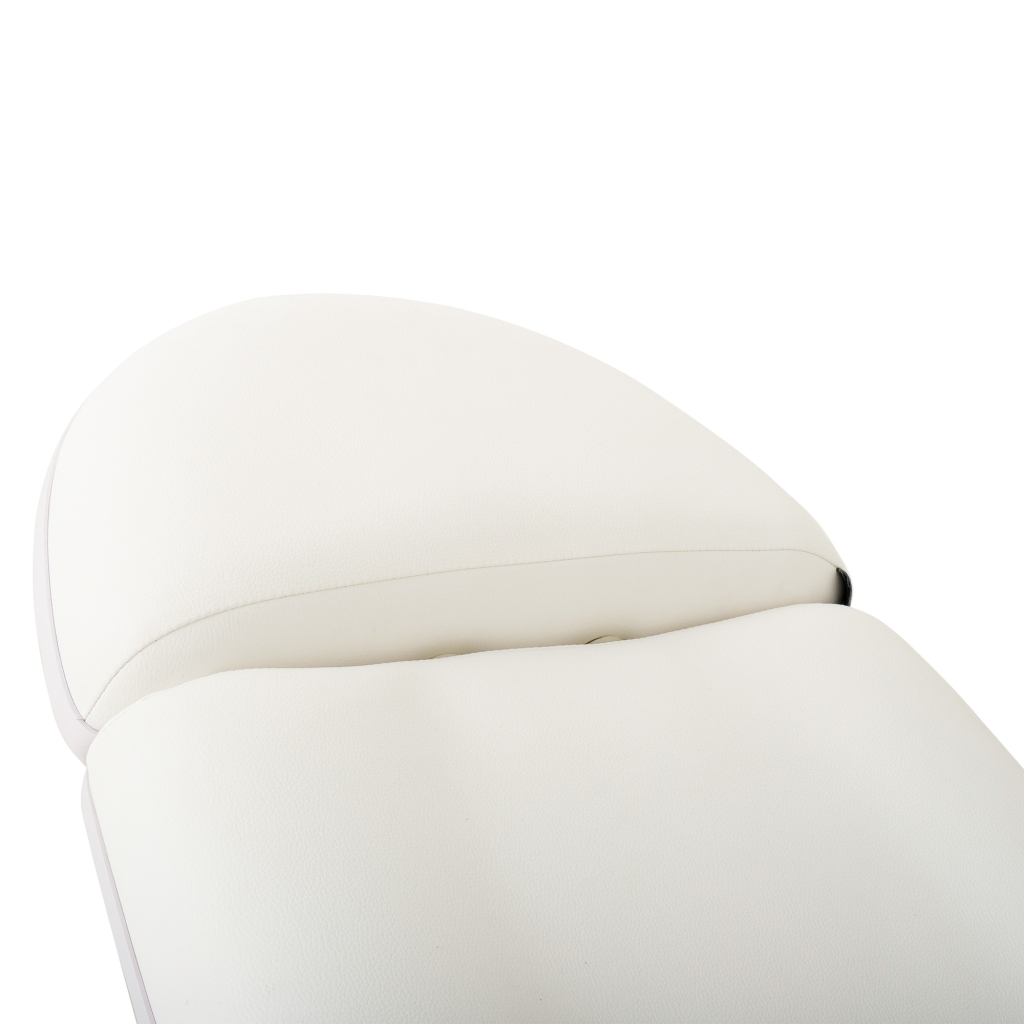 DDUUEETT Aqua Electric Treatment Table with 3 Motors