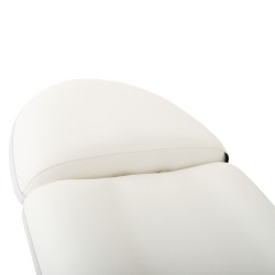 DDUUEETT Aqua Electric Treatment Table with 3 Motors