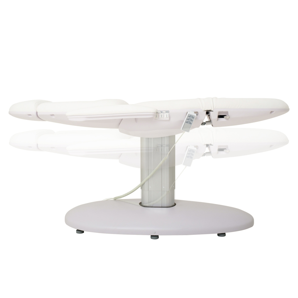 DDUUEETT Aqua Electric Treatment Table with 3 Motors