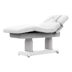 DDUUEETT Phen Spa Treatment Table, Electric, Heated