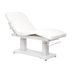 Sonia Murz HZ-3818A electric spa bed