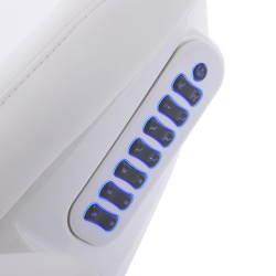 Weelko Gir electric beauty chair 4 motors