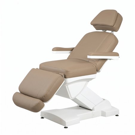 Weelko RICLE Beige Electric Treatment Table with 4 Motors