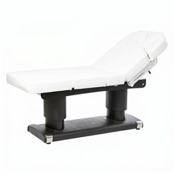 DDUUEETT Qaus Electric Treatment Table with 4 Motors