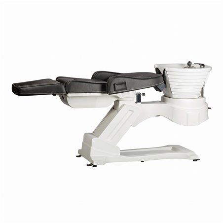 Akermann Electric Backwash Unit

