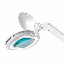 DDUUEETT NIYA 5D double LED magnifying lamp with wheeled base