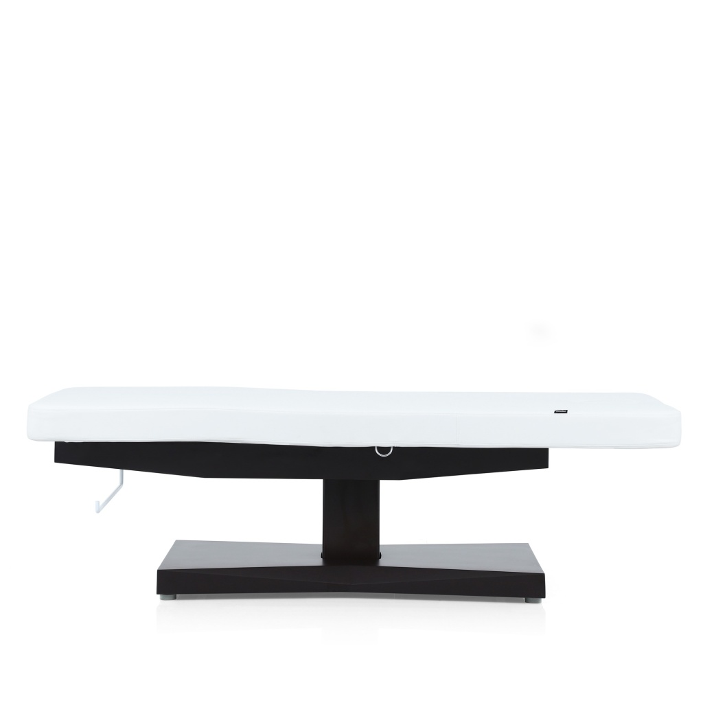 Table électrique Weelko Trapp + 2 moteurs