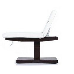 Table électrique Weelko Trapp + 2 moteurs