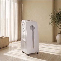 Gesichts-Sauerstoffgerät Pure Oxygen Beauty System