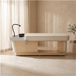 Table de massage multifonction Mirplay AETHER BED Salon avec bac de lavage et vapeur