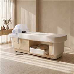 Table de massage multifonction Mirplay AETHER BED Salon avec bac de lavage et vapeur