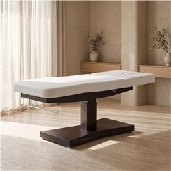 Weelko Trapp + 2-motor electric massage table