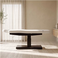 Weelko Trapp + 2-motor electric massage table