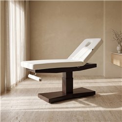 Weelko Trapp + 2-motor electric massage table