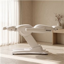 Weelko Gir electric beauty chair with 4 motors