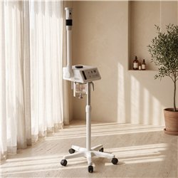 Weelko Digital Ozone Facial Steamer with Rotating Arm