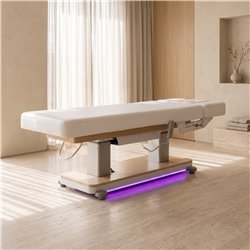 Camilla de masajes Spa eléctrica Virgo
