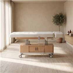 Camilla de masajes Spa eléctrica Libra