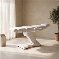 Sillón de Estética RICLE