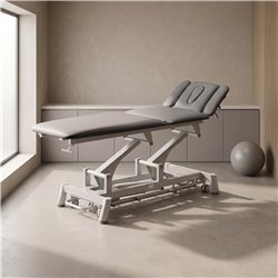 Camilla de Masaje Eléctrica TITAN 304F – Para fisioterapia profesional