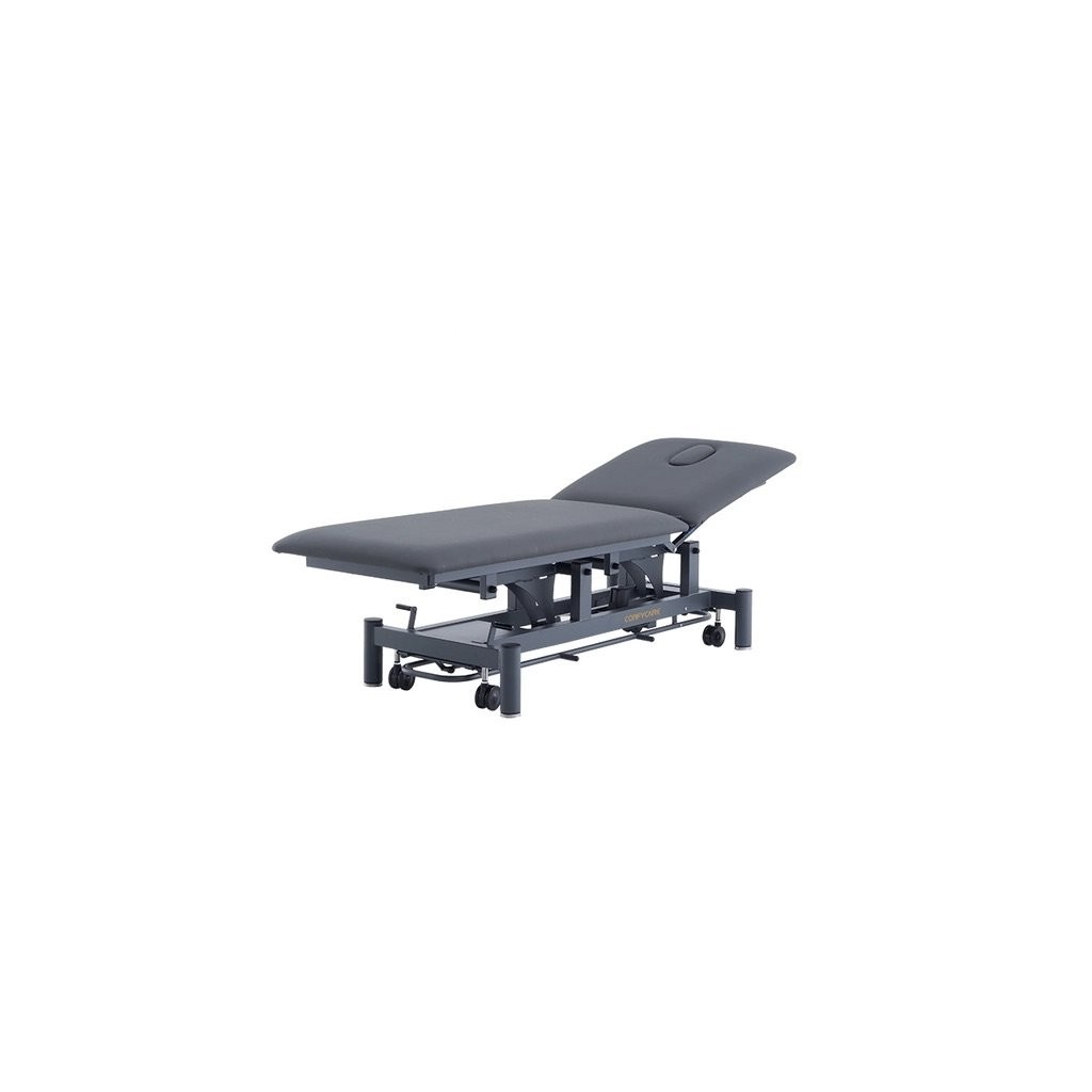 Camilla eléctrica de fisioterapia ENID 2 secciones | Coinfycare