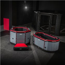 Bain froid gonflable NetSpa UFC Octagon