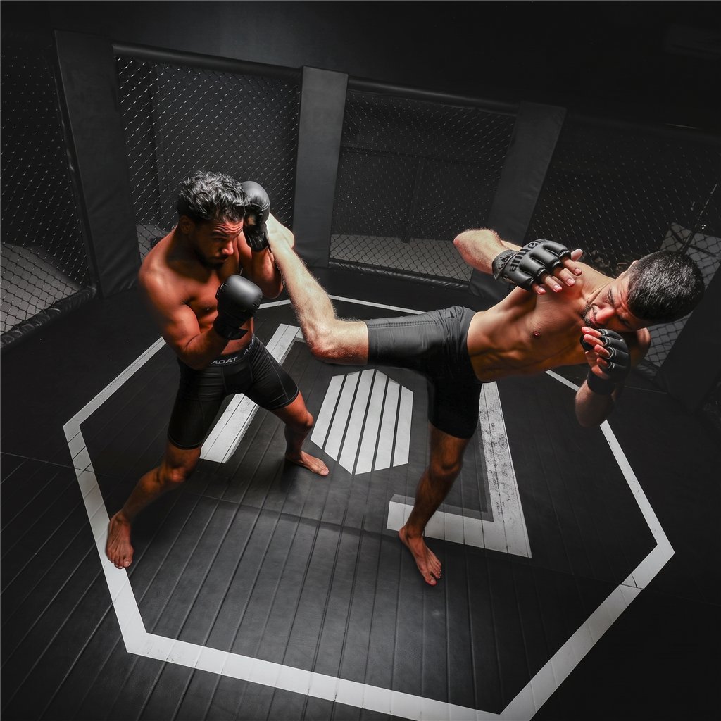 Aufblasbares Eisbad NetSpa UFC Octagon