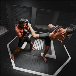 Aufblasbares Eisbad NetSpa UFC Octagon