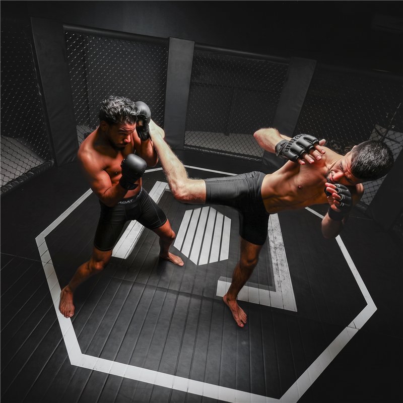 Escena deportiva asociada a la colaboración NetSpa y UFC
