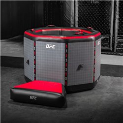 Aufblasbares Eisbad NetSpa UFC Octagon