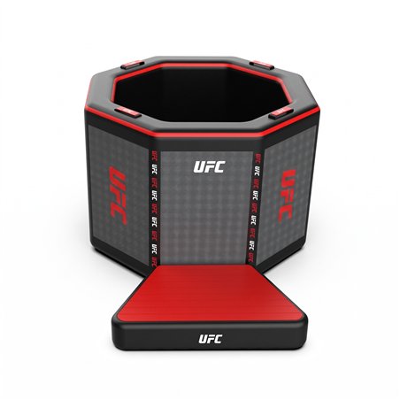 Aufblasbares Eisbad NetSpa UFC Octagon