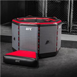 Bain froid gonflable Netspa UFC Octagon avec refroidisseur