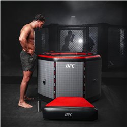 Bain froid gonflable Netspa UFC Octagon avec refroidisseur