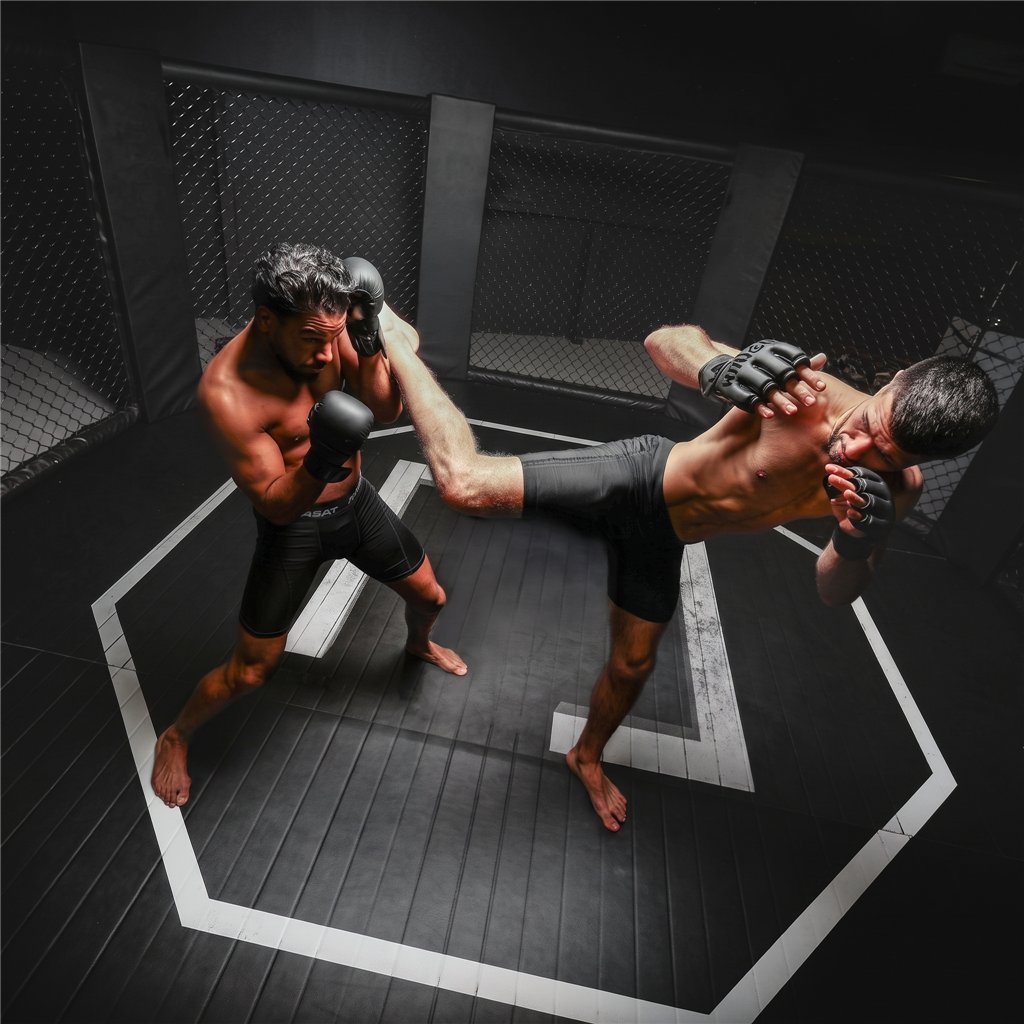 Aufblasbares Eisbad Netspa UFC Octagon mit Kühler