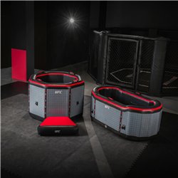 Netspa UFC Octagon Eisbad-Set mit 5-kW-Kühler