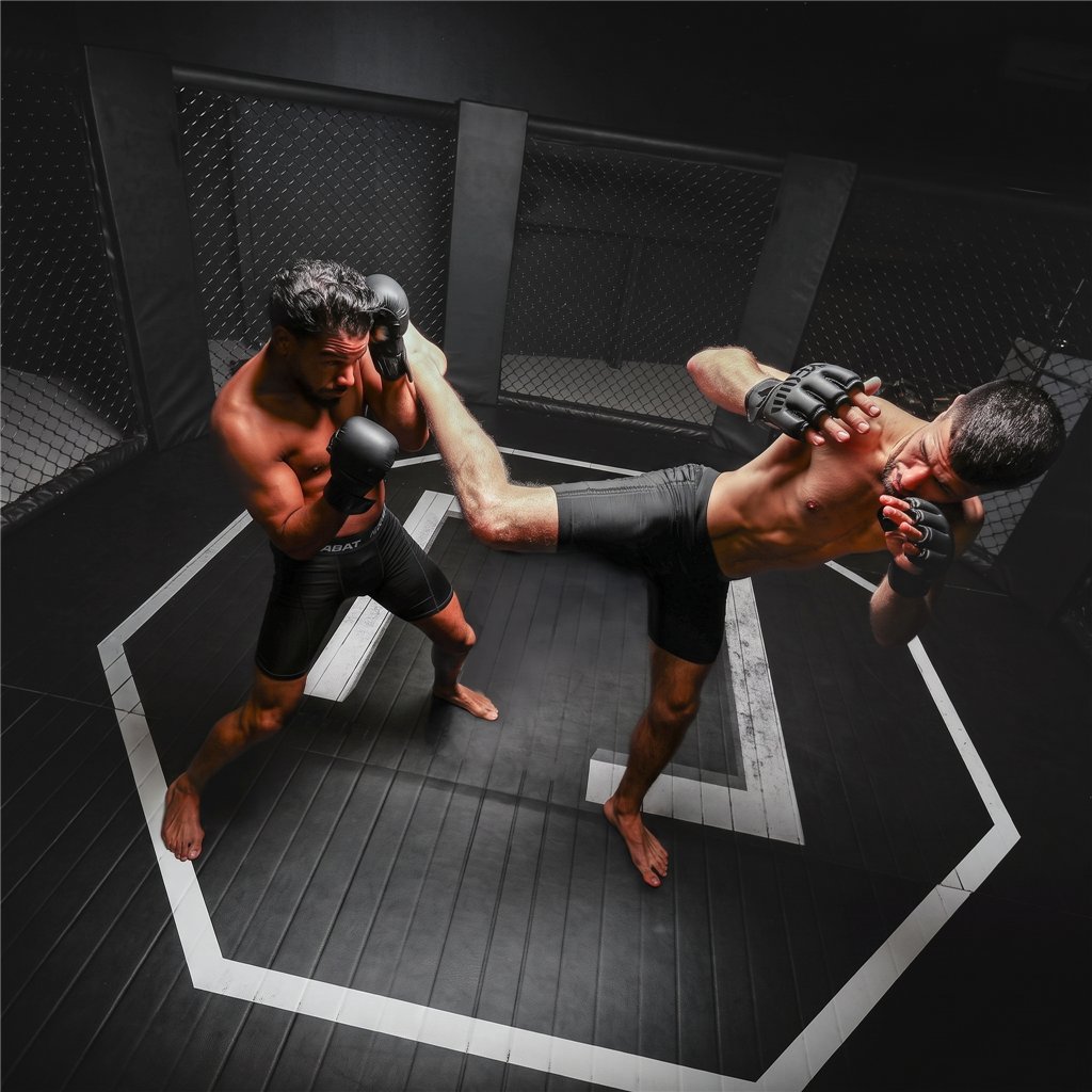 Netspa UFC Octagon Eisbad-Set mit 5-kW-Kühler