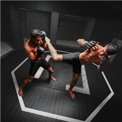 Netspa UFC Octagon Eisbad-Set mit 5-kW-Kühler