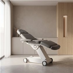 Camilla estética eléctrica 4 motores y LED para spa – Weelko
