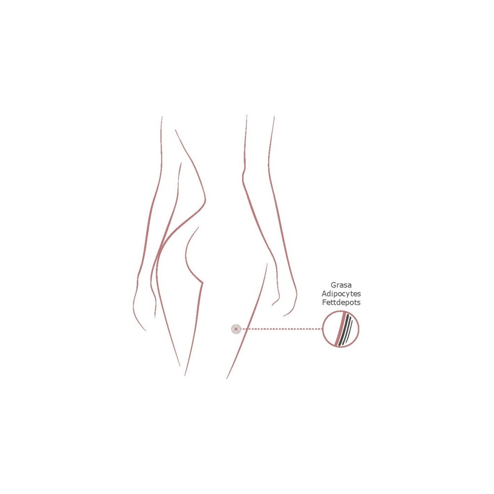 Tratamiento Reductor de Grasa - Institute BCN Packs -Institute BCN Packs -BCN Packs