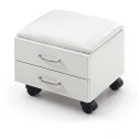 Silla de manicura y pedicura Tendy con almacenamiento - Weelko -Weelko -Camillas y sillones